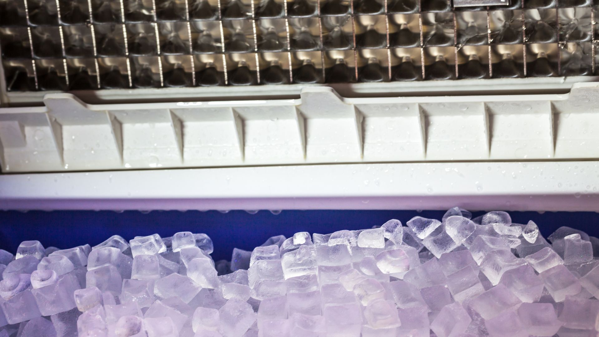 A pile of ice cubes sitting on top of a counter